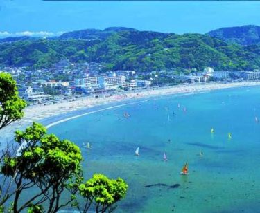 ハカイハヤブサ/TOKYO WRONG BEACH image.jpg