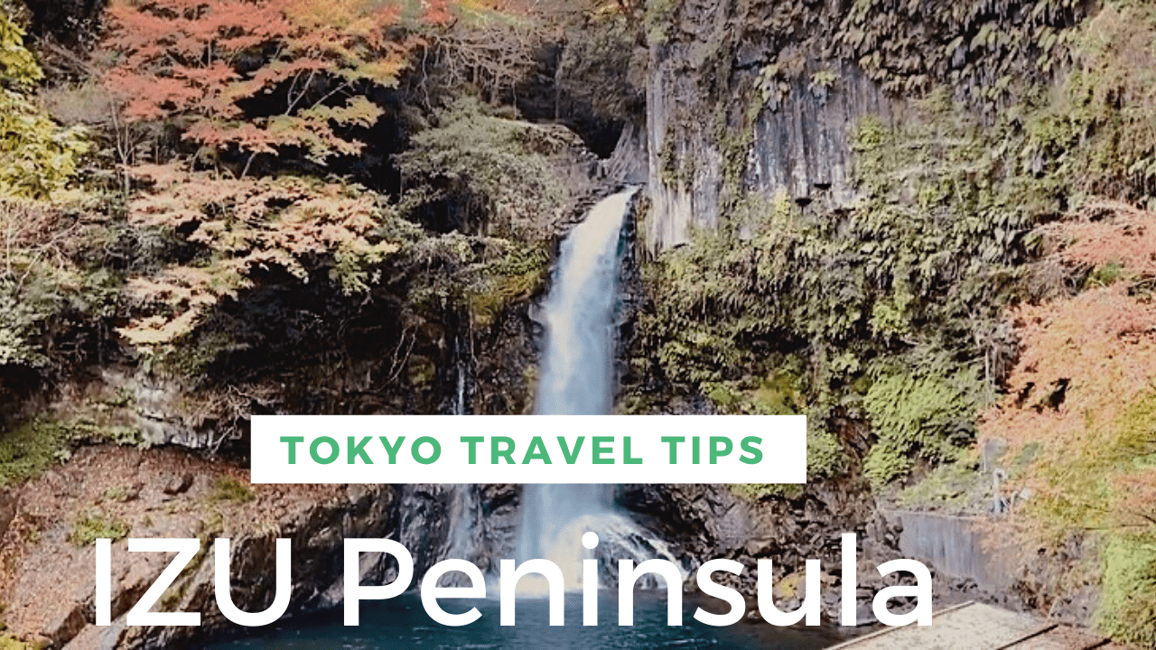 IZU Peninsula Video Driving Tour - TOKYO Travel TIPS