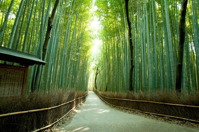 TOGETSUKYO bridge ARASHIYAMA in Kyoto - TOKYO travel TIPS