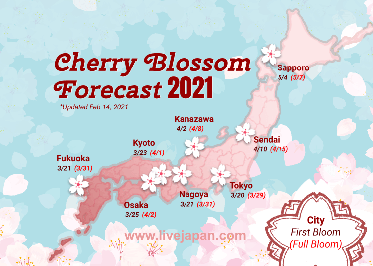 CHERRY BLOSSOM FORECAST - TOKYO travel TIPS