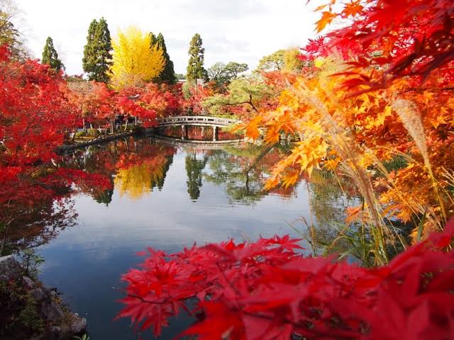 When you should visit Japan to see colorful autumn leaves? And where ...