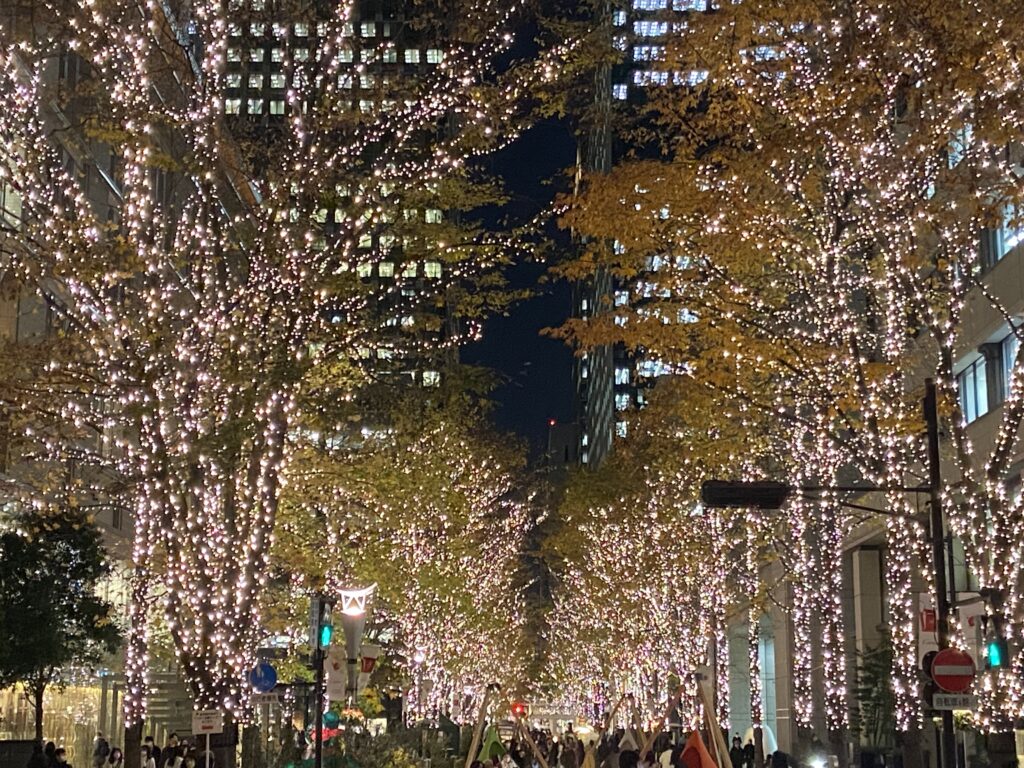 Why don’t you go to see the illumination, Marunouchi Nakadori avenue in ...