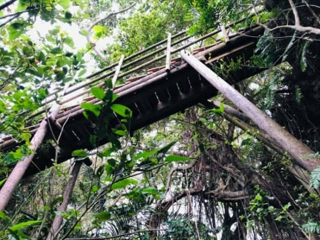 Guided tour ,several million years old valley of Gangala in Okinawa ...