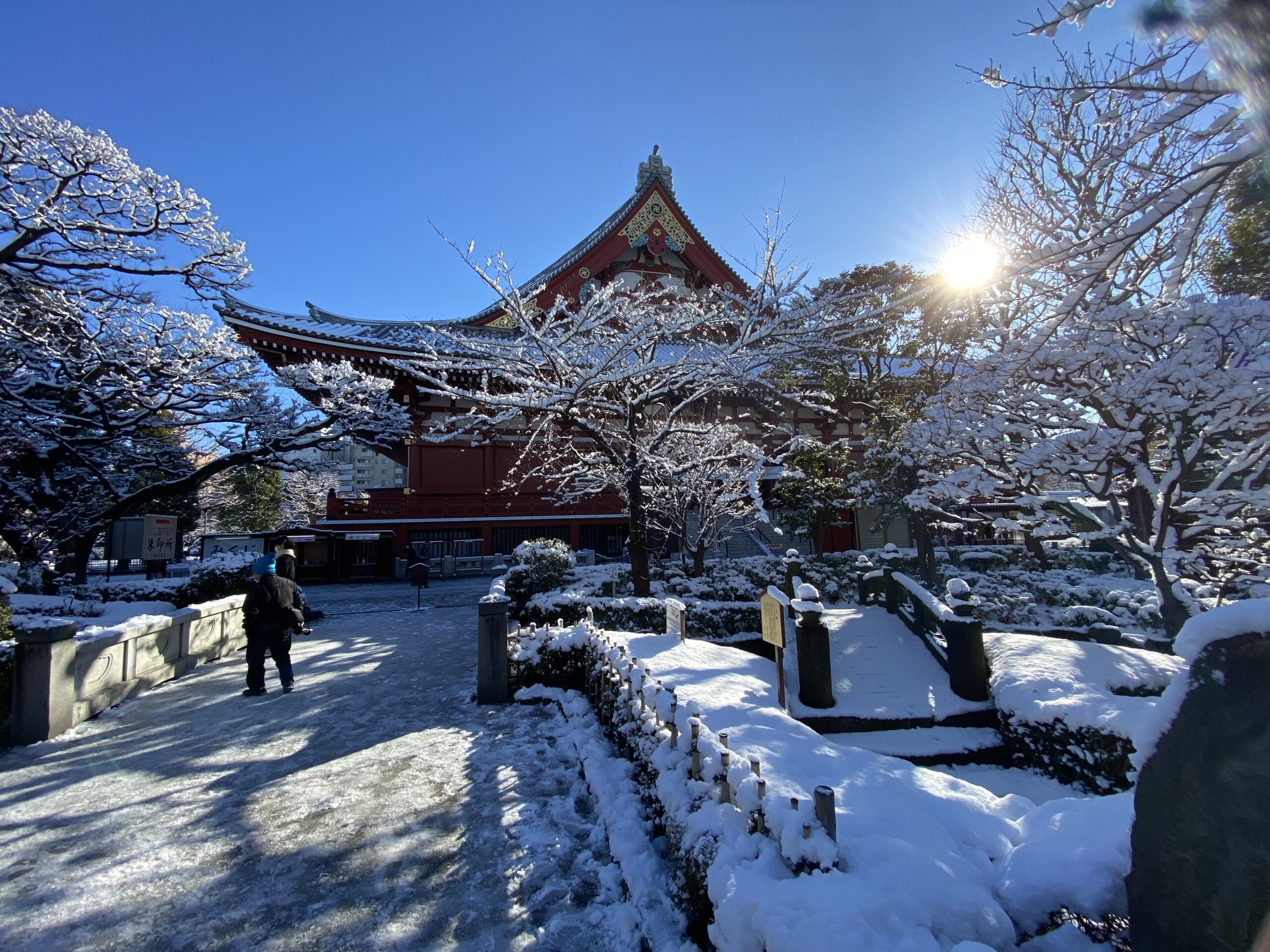 Instagrammable scenery, Sensoji Temple in the snow TOKYO travel TIPS