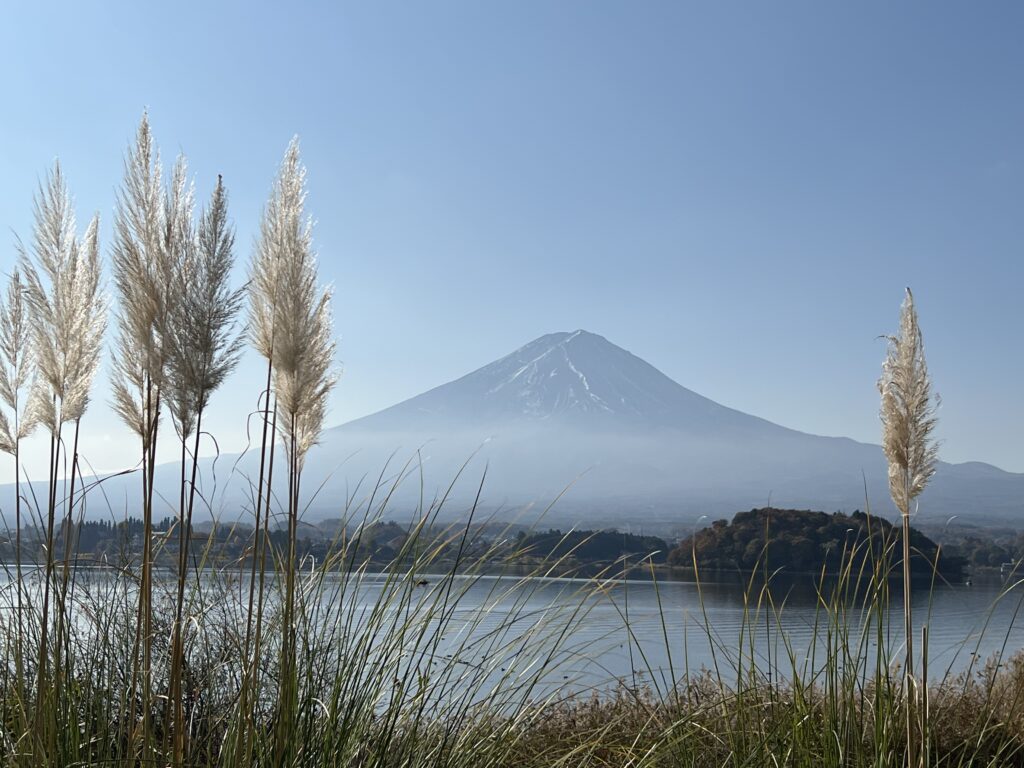 Oishi Park Mt Fuji Over Lake Kawaguchiko