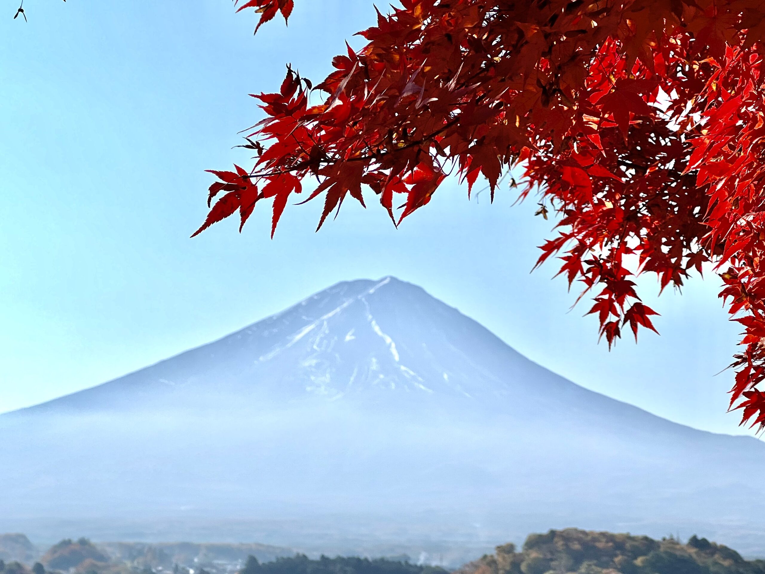 Oishi Park Mt Fuji Over Lake Kawaguchiko