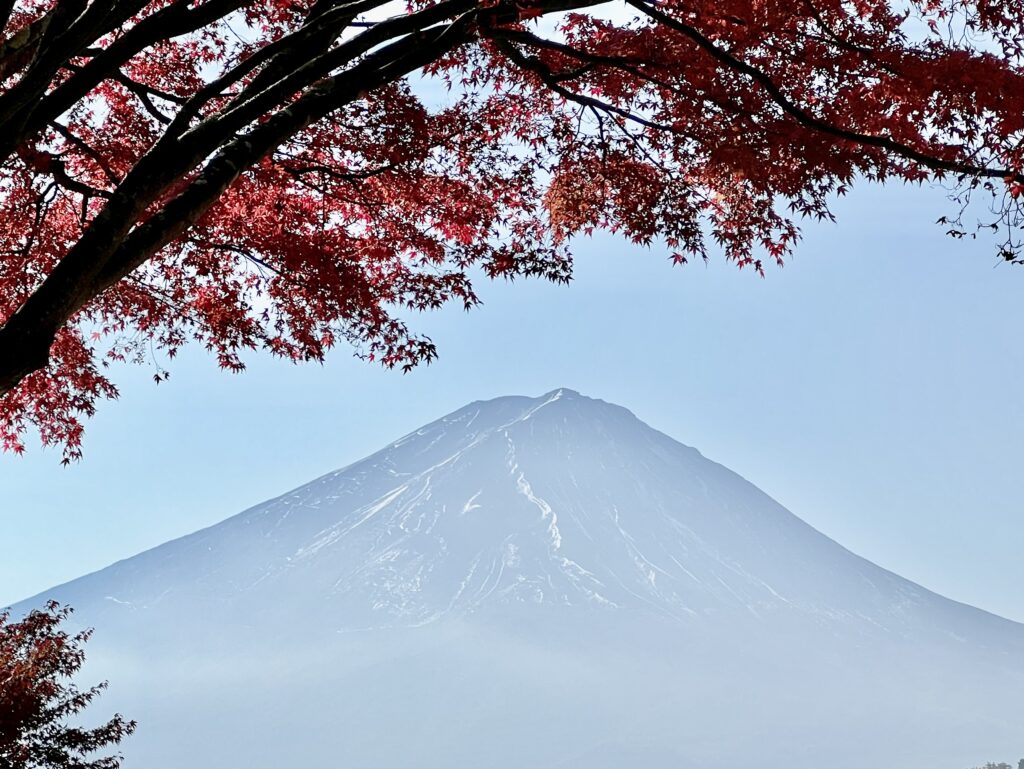 Maple Tunnel, Mt.Fuji and Lake Kawaguchiko! - TOKYO travel TIPS