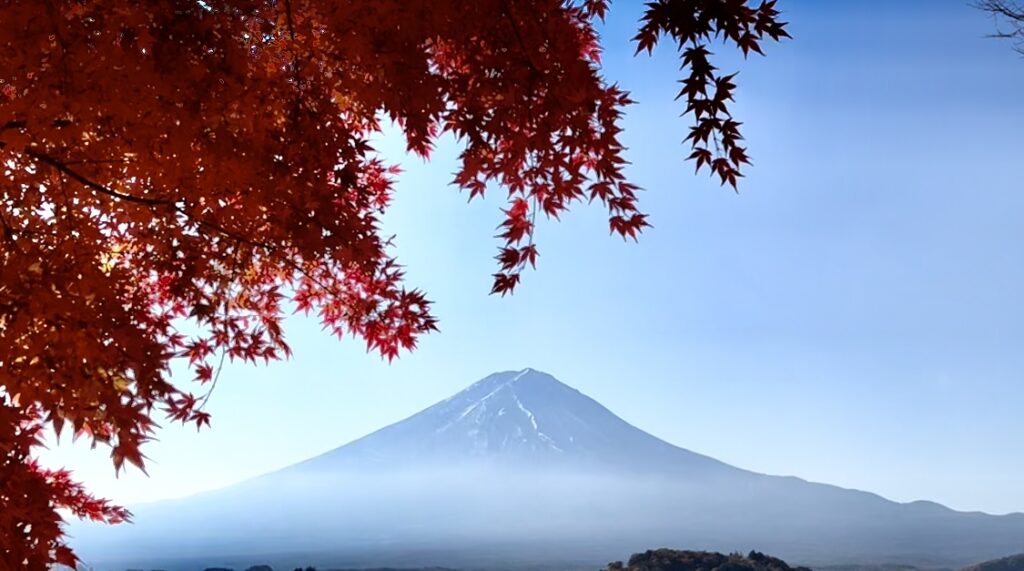 Oishi Park Mt Fuji Over Lake Kawaguchiko
