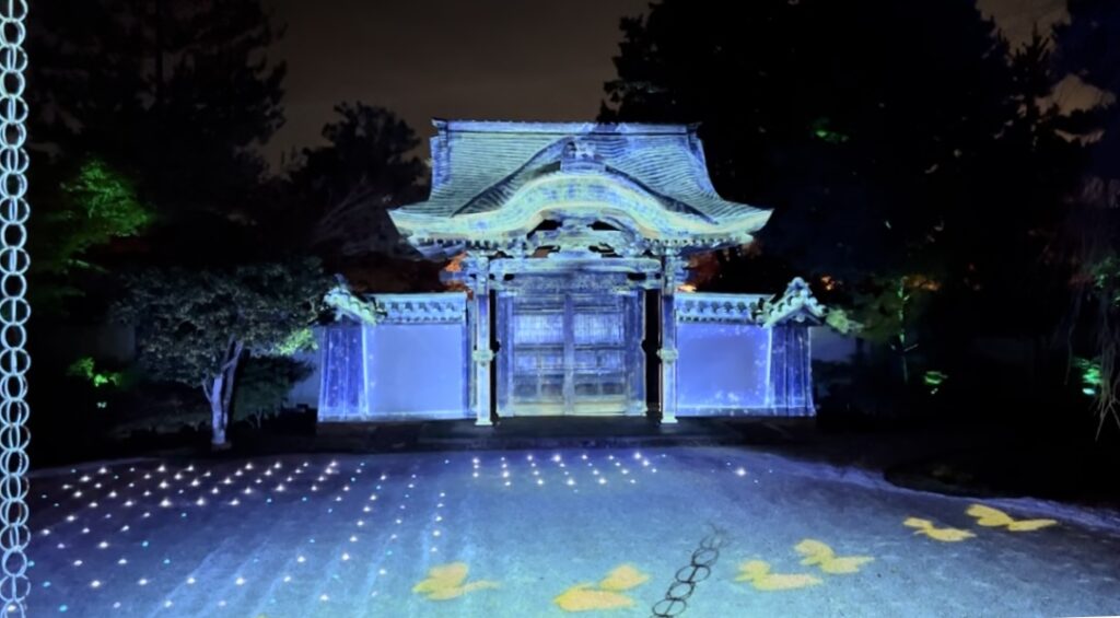 Kodaiji Temple illumination at black night! - TOKYO travel TIPS