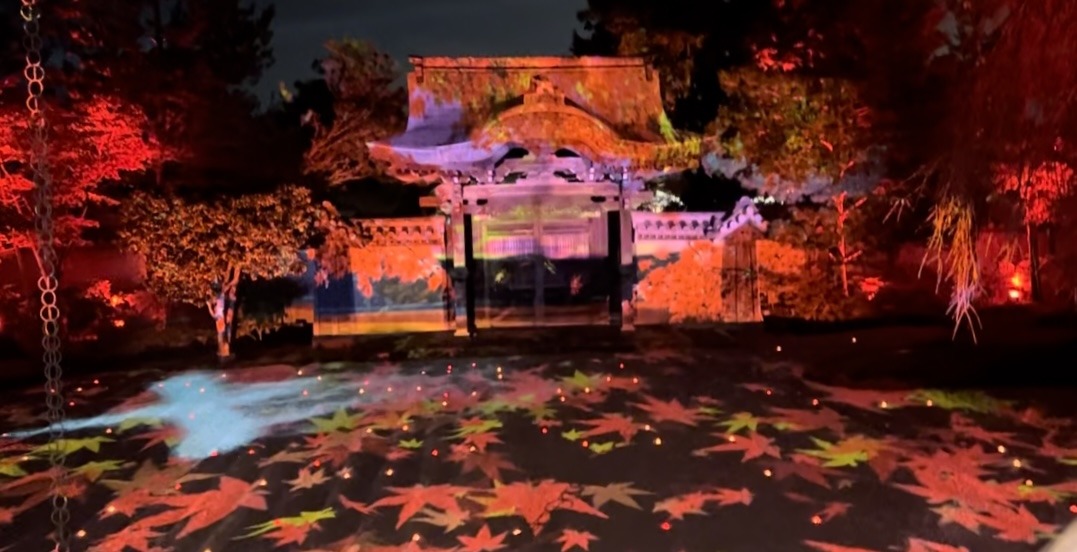 Kodaiji Temple illumination at black night! - TOKYO travel TIPS