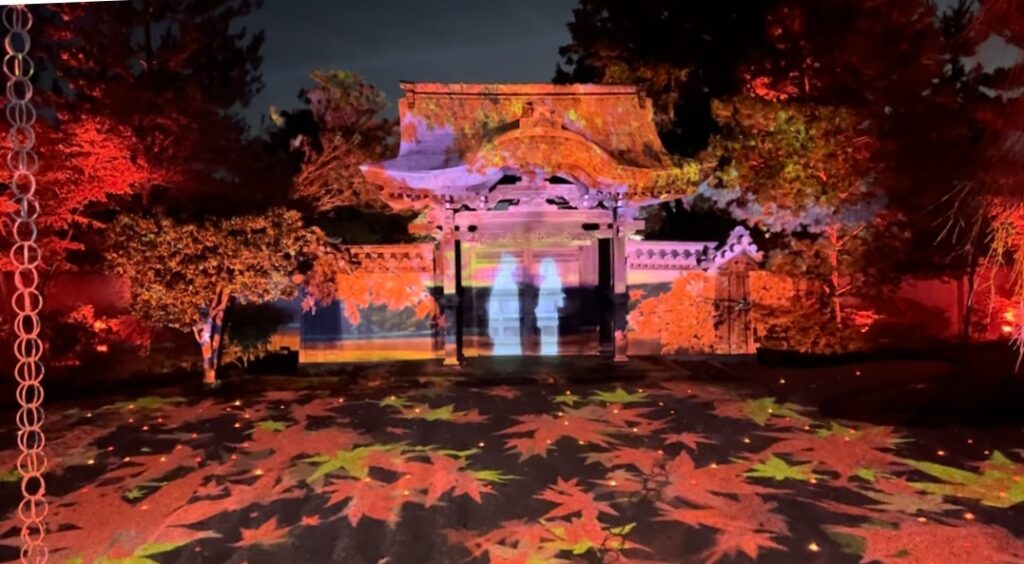 Kodaiji Temple illumination at black night! - TOKYO travel TIPS