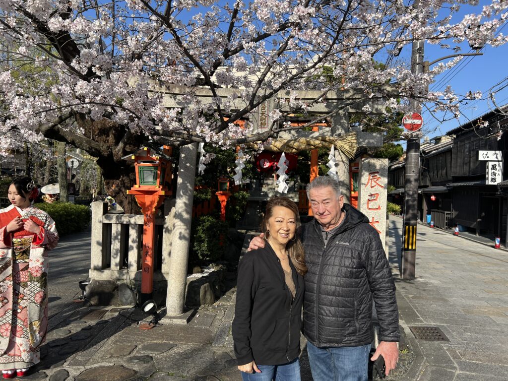 Kyoto during cherry blossoms period, sightseeing boat, cherry blossoms ...