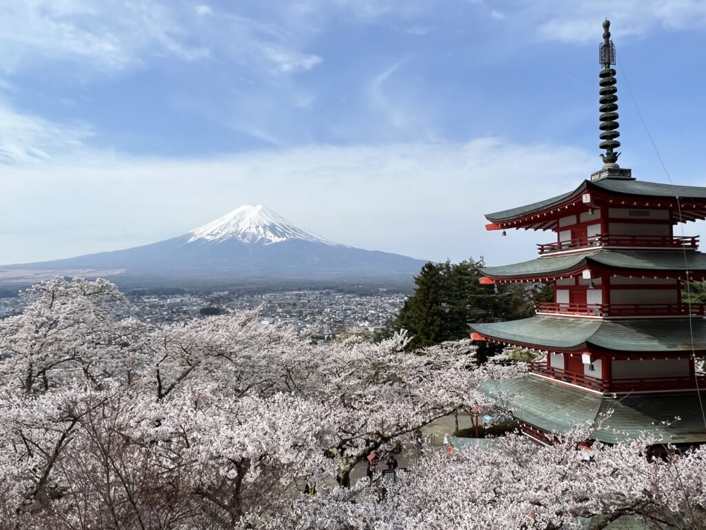 Cherry Blossoms,mt.fuji, 5 Storied Pagoda, Honcho Street, Lake 