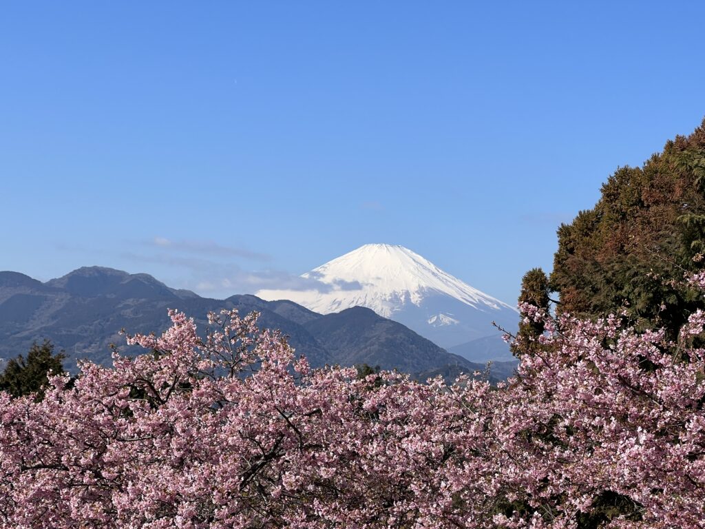 Tokyo Travel Tips For First Timers You Should Know Before Going To Tokyo Travel Tips For First Timers You Should Know Before Going To