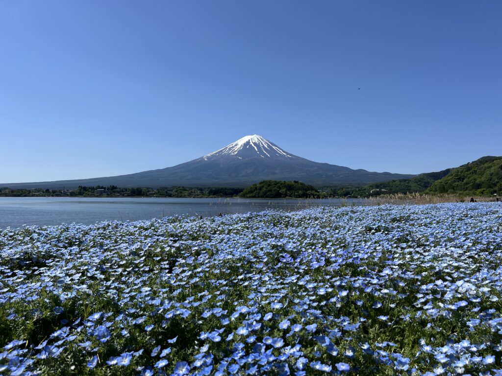 Mt.Fuji, 5storied pagoda, Honcho street, Oshinohakkai UNESCO WORLD ...