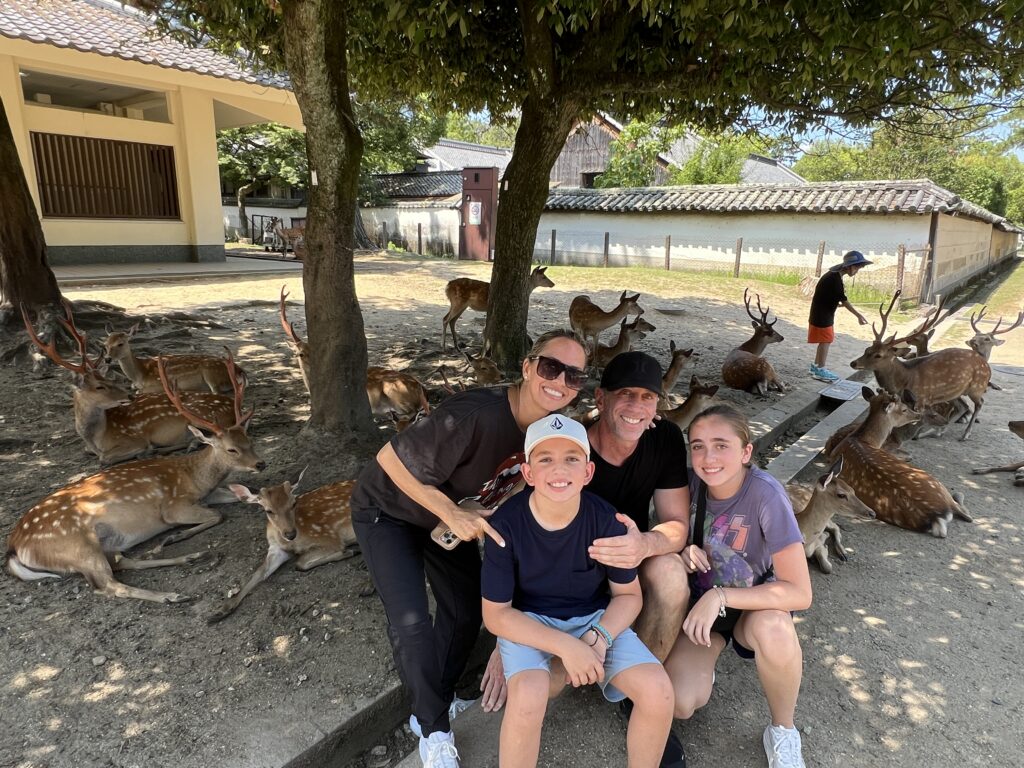 Nara park 