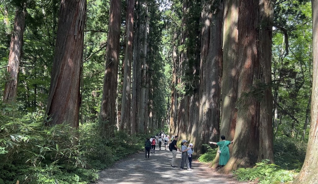 Togakushi shrine 