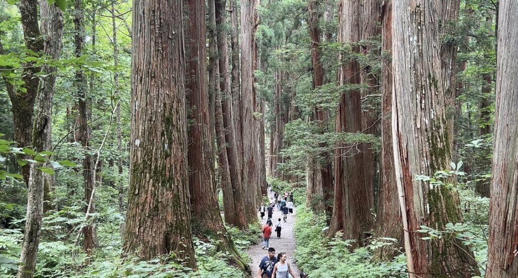 Togakushi shrine final approach 