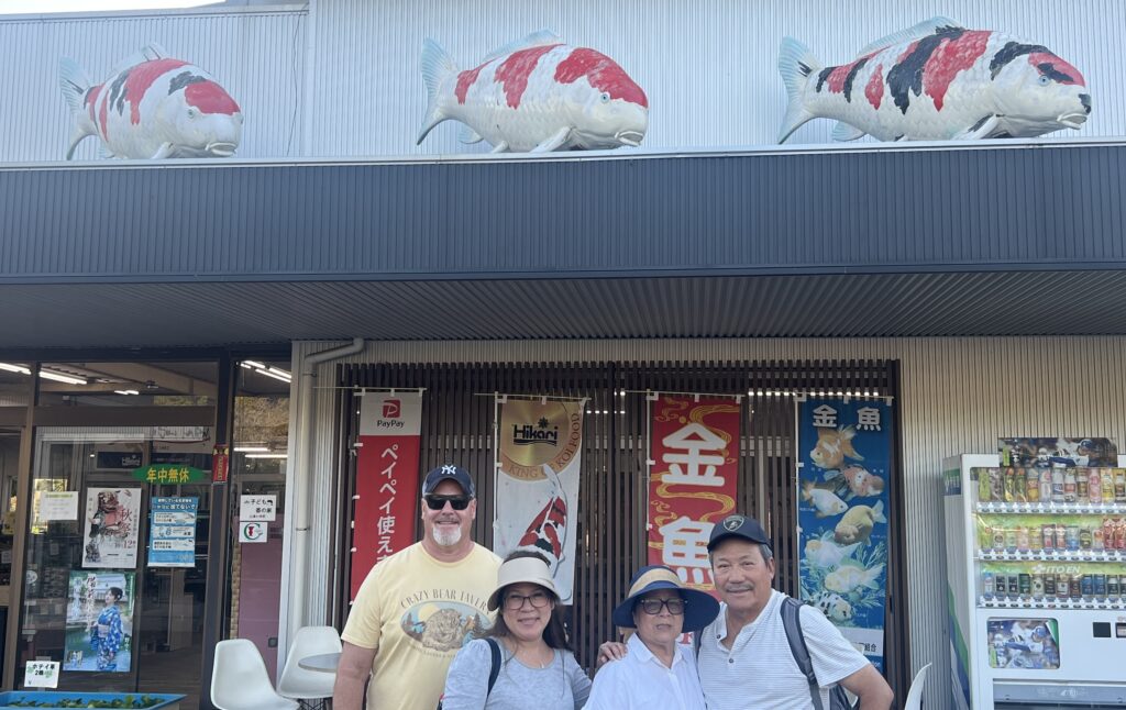 Tani koi  farm