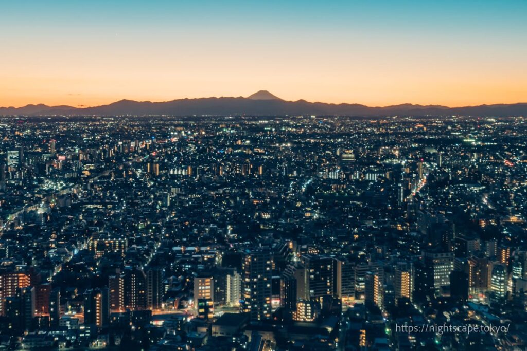 Tokyo Metropolitan Government Building observation deck 