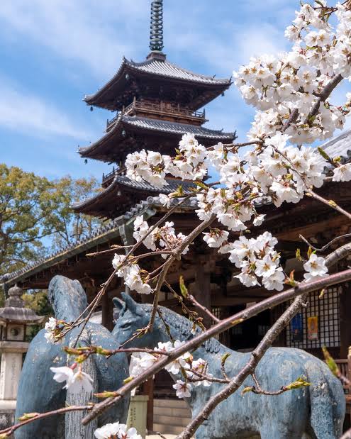 Shikoku 88 temples pilgrimage