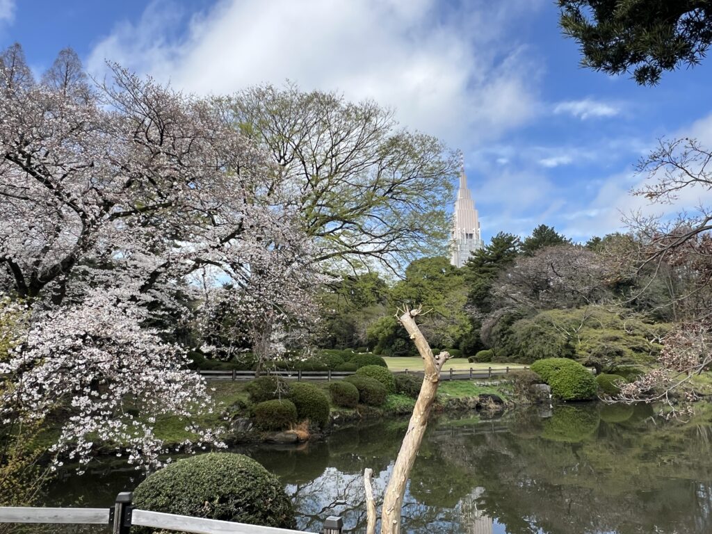 Shinjuku gyoen 