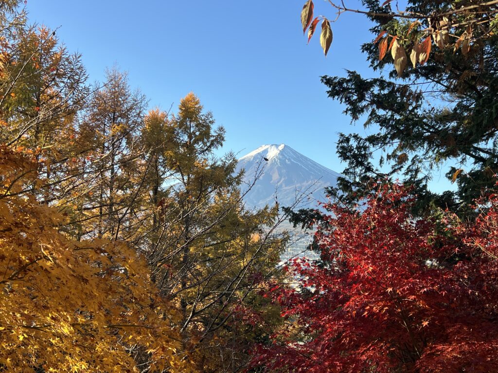 Arakurayama sengen shrine 
